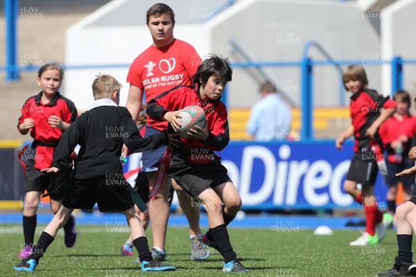 160514 - Arms Park Tag Rugby Festival, Cardiff Arms Park - 