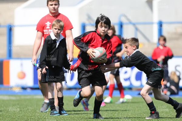 160514 - Arms Park Tag Rugby Festival, Cardiff Arms Park - 