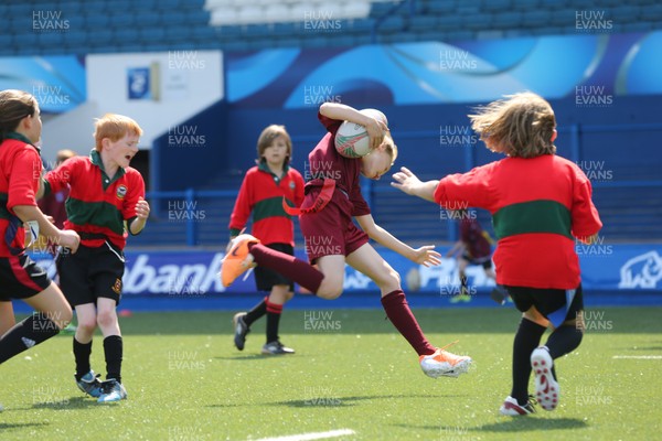 160514 - Arms Park Tag Rugby Festival, Cardiff Arms Park - 