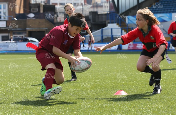 160514 - Arms Park Tag Rugby Festival, Cardiff Arms Park - 