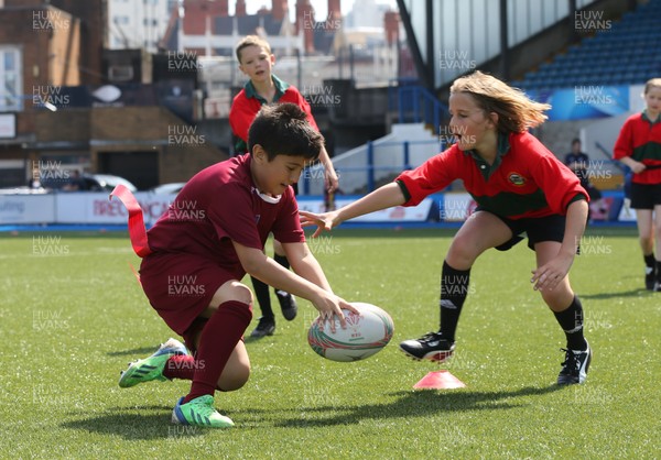 160514 - Arms Park Tag Rugby Festival, Cardiff Arms Park - 