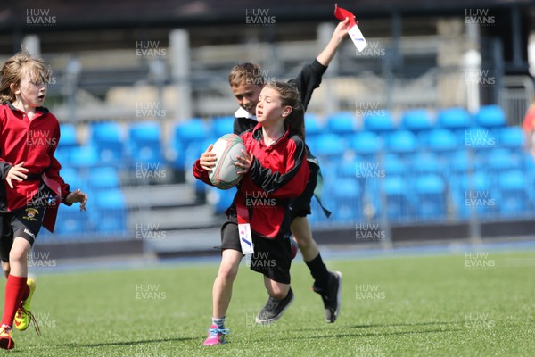 160514 - Arms Park Tag Rugby Festival, Cardiff Arms Park - 