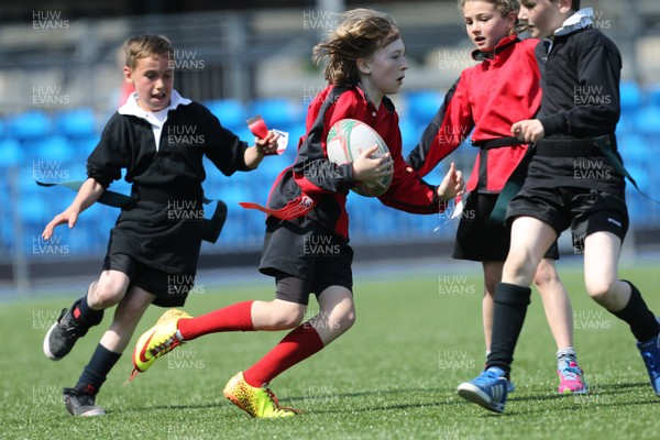 160514 - Arms Park Tag Rugby Festival, Cardiff Arms Park - 
