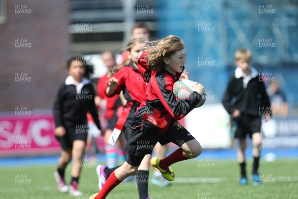 160514 - Arms Park Tag Rugby Festival, Cardiff Arms Park - 