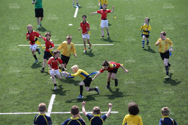 160514 - Arms Park Tag Rugby Festival, Cardiff Arms Park - 