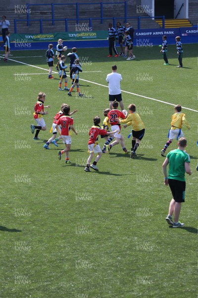 160514 - Arms Park Tag Rugby Festival, Cardiff Arms Park - 