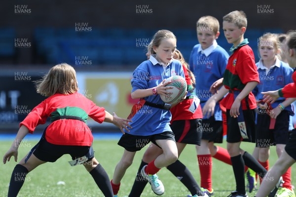 160514 - Arms Park Tag Rugby Festival, Cardiff Arms Park - 