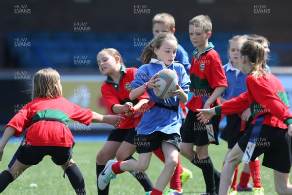 160514 - Arms Park Tag Rugby Festival, Cardiff Arms Park - 