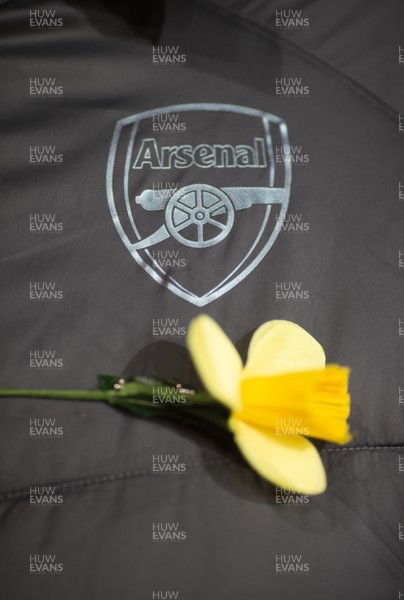 290119 -  Arsenal v Cardiff City, Premier League - An Arsenal steward wears a daffodil in tribute to Emiliano Sala, the Cardiff City player who is missing after the plane he was travelling in plane disappeared over the English Channel