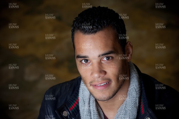 131211 - Swansea City goalkeeper Michael Vorm  