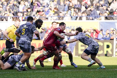 130124 - ASM Clermont Auvergne v Scarlets - EPCR Challenge Cup - Ryan Elias of Scarlets on the attack