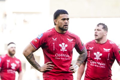 130124 - ASM Clermont Auvergne v Scarlets - EPCR Challenge Cup - Vaea Fifita of Scarlets