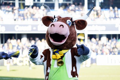 130124 - ASM Clermont Auvergne v Scarlets - EPCR Challenge Cup - ASM mascot