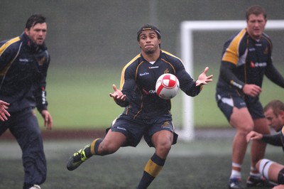 04.11.10..Australia Rugby Training session, University Playing Field, Treforest-  Australia's Will Genia during a wet training session at Treforest near Cardiff 