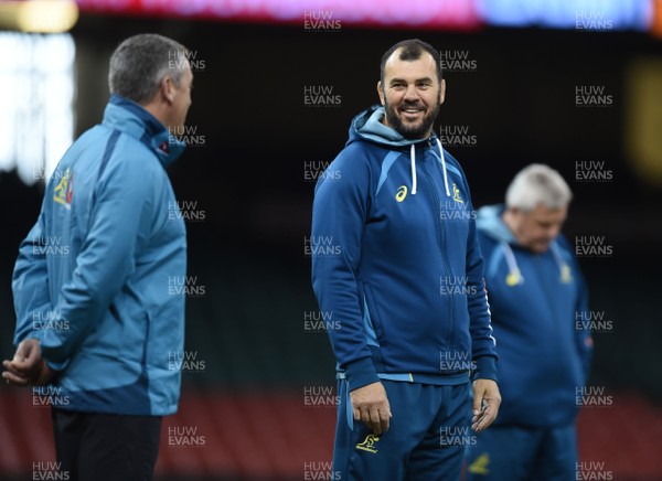 101117 - Australia Rugby Training - Michael Cheika during training