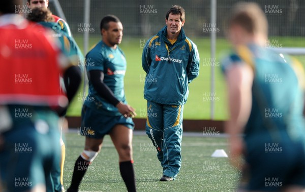 26.11.09 - Australia Rugby Training - Australia head coach Robbie Deans looks on during training. 