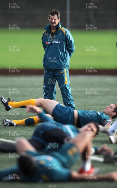 26.11.09 - Australia Rugby Training - Australia head coach Robbie Deans looks on during training. 