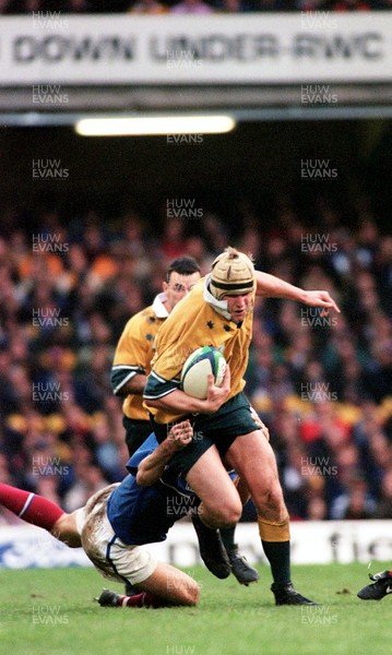 061199 - Australia v France - Rugby World Cup Final -  David Giffin of Australia