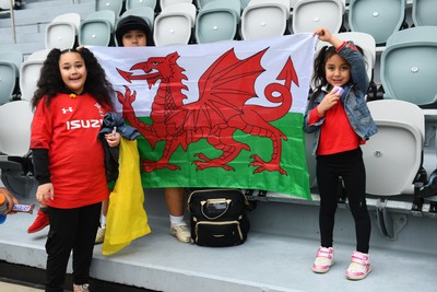 260725 - Australia Women v Wales Women - Wales fans
