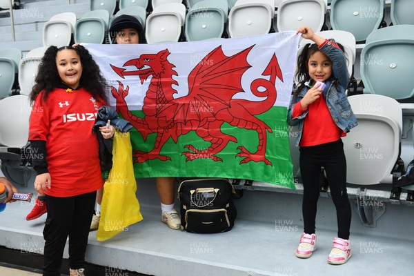 260725 - Australia Women v Wales Women - Wales fans