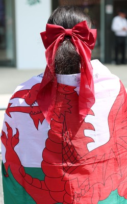 270626 - Barbarians v Wales -  Wales fans at the Allianz Stadium