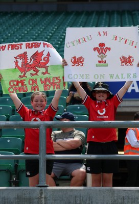 270626 - Barbarians v Wales -  Young Wales fans at the match
