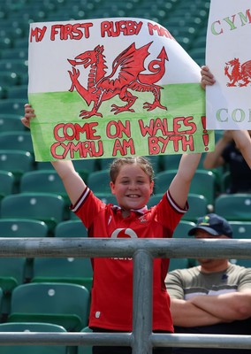 270626 - Barbarians v Wales -  Young Wales fans at the match