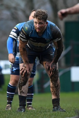 200226 - Bargoed RFC v Hawick Quins - Butters Cup - 