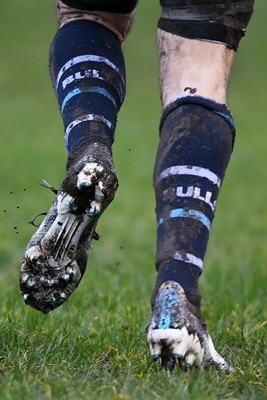 200226 - Bargoed RFC v Hawick Quins - Butters Cup - 