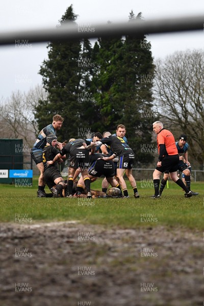 200226 - Bargoed RFC v Hawick Quins - Butters Cup - 