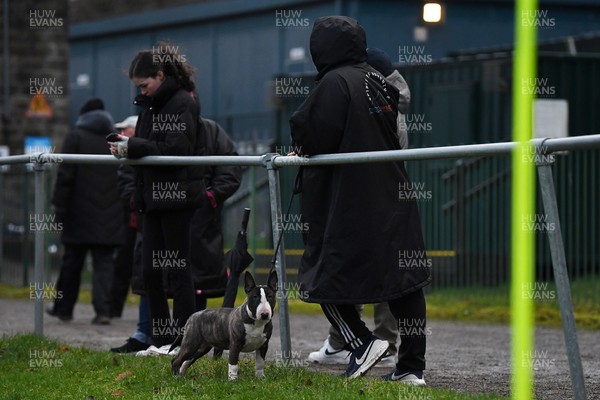 200226 - Bargoed RFC v Hawick Quins - Butters Cup - 