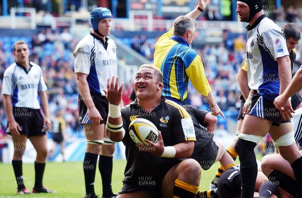 250503 - Bath v London Wasps - Parker Pen Challenge Cup Final - Wasps' Trevor Leota celebrates his try