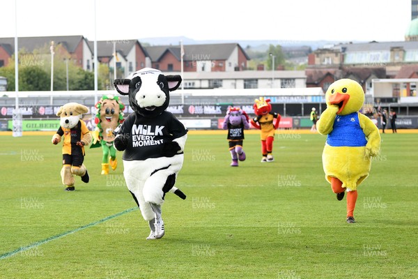220426 - Bath v Loughborough - Men's BUCS Final - Mascots race across the pitch