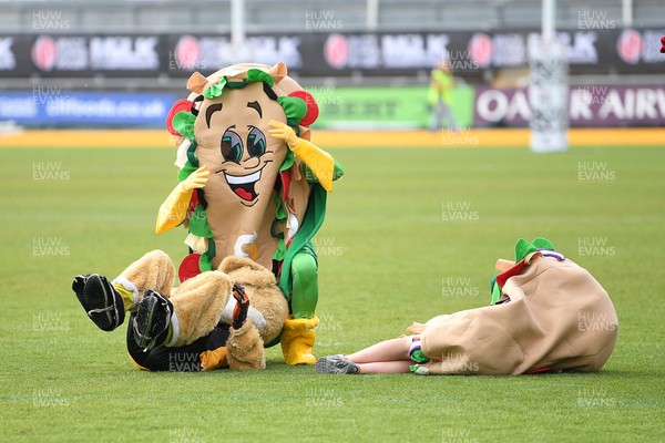 220426 - Bath v Loughborough - Men's BUCS Final - Mascots race across the pitch