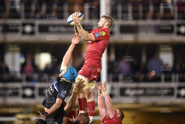 120118 - Bath v Scarlets - European Rugby Champions Cup - John Barclay of Scarlets takes line out ball