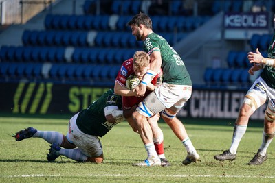 210123 - Aviron Bayonnais v Scarlets - EPCR Challenge Cup - Sam Costelow of Scarlets