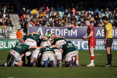 210123 - Aviron Bayonnais v Scarlets - EPCR Challenge Cup - Gareth Davies of Scarlets waits to put in to a scrum