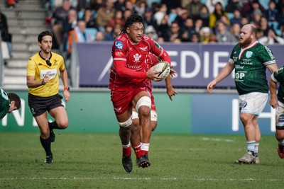 210123 - Aviron Bayonnais v Scarlets - EPCR Challenge Cup - Sam Lousi of Scarlets