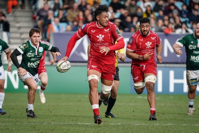 210123 - Aviron Bayonnais v Scarlets - EPCR Challenge Cup - Sam Lousi of Scarlets