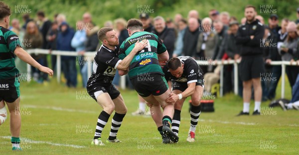 160526 - St Peter's v Bedwas - Admiral National Championship East - 