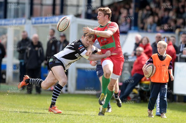 090416 Bedwas v Pontypridd - Fosters Cup Final  Mike Callow of Bedwas off loads whilst being tackled by Geraint Walsh of Pontypridd