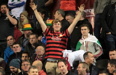 161114 - Belgium v Wales - European Championship Qualifier - Wales fans at the game