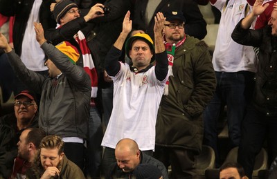 161114 - Belgium v Wales - European Championship Qualifier - Wales fans at the game