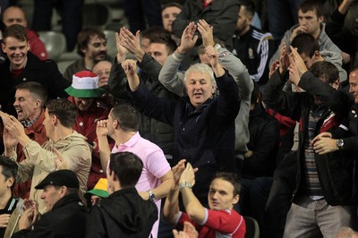 161114 - Belgium v Wales - European Championship Qualifier - Wales fans at the game