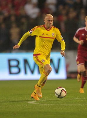 161114 - Belgium v Wales - European Championship Qualifier - David Cotterill of Wales 