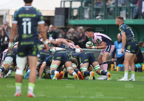 040426 - Benetton Rugby v Cardiff Rugby - EPCR Challenge Cup Round of 16 - Ellis Bevan of Cardiff waits feed a scrum