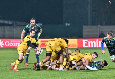 100126 - Benetton Rugby v Dragons RFC - EPCR Challenge Cup - Rhodri Williams of Dragons kicks