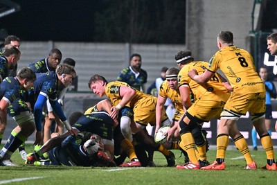 100126 - Benetton Rugby v Dragons RFC - EPCR Challenge Cup - Brodie Coghlan of Dragons 