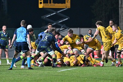 100126 - Benetton Rugby v Dragons RFC - EPCR Challenge Cup - Matthew Screech of Dragons 