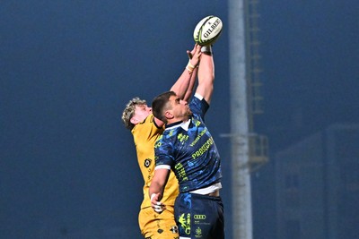 100126 - Benetton Rugby v Dragons RFC - EPCR Challenge Cup - Ryan Woodman of Dragons 